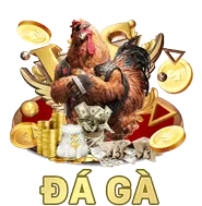 Tham gia sự kiện VIP độc quyền